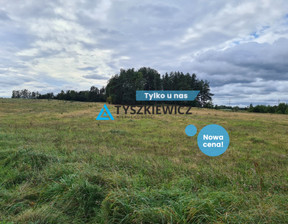 Działka na sprzedaż, Kościerski Kościerzyna Skorzewo, 529 000 zł, 53 000 m2, TY596190