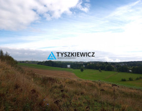 Rolny na sprzedaż, Starogardzki Starogard Gdański Sucumin, 539 300 zł, 5393 m2, TY487827
