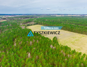 Rolny na sprzedaż, Bytowski Trzebielino Zielin, 200 000 zł, 34 300 m2, TY652365