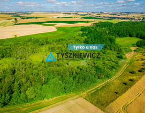 Rolny na sprzedaż, Chojnicki Chojnice Ciechocin, 99 000 zł, 6400 m2, TY611240