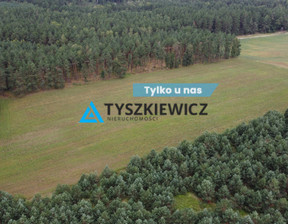 Działka na sprzedaż, Bytowski Czarna Dąbrówka Brzezinka, 170 000 zł, 35 700 m2, TY939086