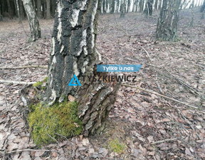 Leśne na sprzedaż, Tucholski Śliwice Rosochatka, 169 000 zł, 39 600 m2, TY328417