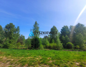 Rolny na sprzedaż, Starogardzki Lubichowo Osowo Leśne, 80 000 zł, 4000 m2, TY106170