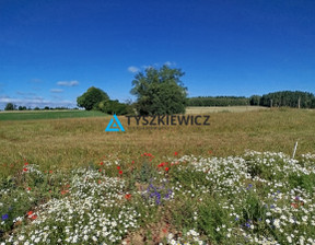 Działka na sprzedaż, Starogardzki Starogard Gdański Druha Józefa Grzybka, 330 000 zł, 3829 m2, TY833810