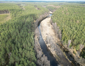 Leśne na sprzedaż, Starogardzki Lubichowo Krępki, 79 000 zł, 12 611 m2, 1983/9862/OGS