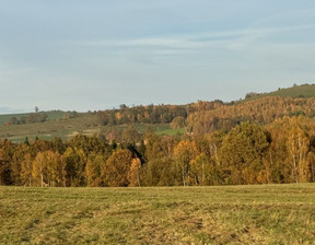 Rolny na sprzedaż, Jeleniogórski Jeżów Sudecki Siedlęcin, 55 000 zł, 9400 m2, 656952