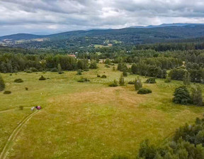 Działka na sprzedaż, Jeleniogórski Stara Kamienica Antoniów, 277 200 zł, 13 200 m2, 792988