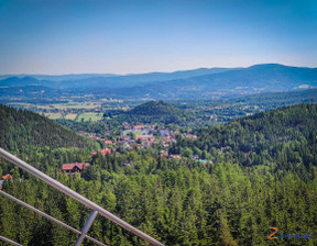 Hotel, pensjonat na sprzedaż, Jeleniogórski Karpacz, 8 000 000 zł, 500 m2, 731346220