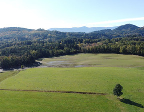 Działka na sprzedaż, Jeleniogórski Janowice Wielkie, 230 000 zł, 2000 m2, 624495486