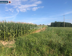 Działka na sprzedaż, Ełcki Prostki Guty Rożyńskie, 79 000 zł, 9863 m2, ELK-GS-5715