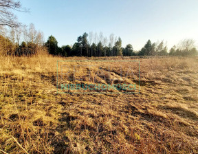 Działka na sprzedaż, Żyrardowski Radziejowice Nowe Budy, 590 000 zł, 14 900 m2, 5339/6166/OGS