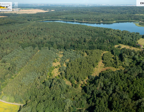 Działka na sprzedaż, Gryfiński (Pow.) Stare Czarnowo (Gm.) Stare Czarnowo, 232 280 zł, 11 614 m2, 3665/7376/OGS