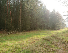 Działka na sprzedaż, Choszczeński Bierzwnik Starzyce, 130 000 zł, 4818 m2, INB20391