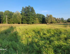 Działka na sprzedaż, Policki Police Sierakowo, 1 300 000 zł, 41 606 m2, INB20578