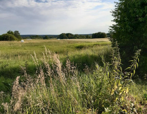 Działka na sprzedaż, lubelskie tomaszowski Tomaszów Lubelski Tomaszów Lubelski Majdańska, 1 110 000 zł, 11 100 m2, gratka-34802429