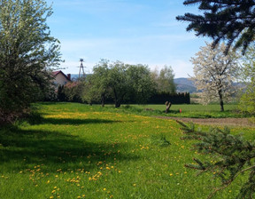 Działka na sprzedaż, dolnośląskie dzierżoniowski Pieszyce Piskorzów, 250 000 zł, 1400 m2, gratka-12637269