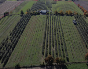 Działka na sprzedaż, mazowieckie siedlecki Zbuczyn Zbuczyn, 1 500 000 zł, 0 m2, gratka-37814171