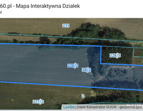 Działka na sprzedaż, wielkopolskie gostyński Gostyń Pożegowo Poznańska, 6 250 000 zł, 36 624 m2, gratka-32151223