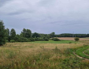 Działka na sprzedaż, pomorskie kościerski Liniewo Głodowo, 80 000 zł, 4200 m2, gratka-31652639