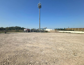 Działka do wynajęcia, pomorskie Gdańsk Jasień, 10 000 zł, 1200 m2, gratka-36992351