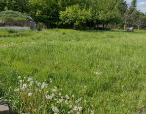 Działka na sprzedaż, mazowieckie warszawski zachodni Stare Babice Stare Babice, 750 zł, 3300 m2, gratka-36671021