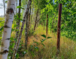 Działka na sprzedaż, pomorskie kartuski Sulęczyno Mściszewice, 195 000 zł, 3040 m2, gratka-38464575