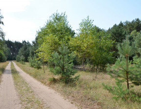 Działka na sprzedaż, wielkopolskie czarnkowsko-trzcianecki Wieleń Wieleń, 400 000 zł, 20 314 m2, gratka-32721115