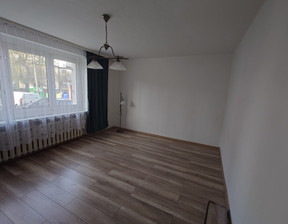 Mieszkanie na sprzedaż, śląskie Katowice Koszutka, 399 000 zł, 50,3 m2, gratka-34819005