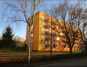 Mieszkanie na sprzedaż, wielkopolskie złotowski Złotów Złotów al. Piasta, 37 000 zł, 59,6 m2, gratka-34406195