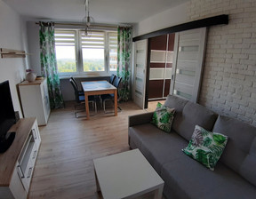 Mieszkanie do wynajęcia, śląskie Katowice Bogucice aleja Walentego Roździeńskiego, 2600 zł, 56 m2, gratka-27657595