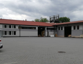 Magazyn do wynajęcia, łódzkie Łódź Pojezierska, 39 500 zł, 1130 m2, gratka-38365871