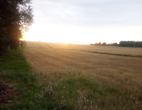 Działka na sprzedaż, małopolskie miechowski Gołcza Ulina Mała, 190 000 zł, 8600 m2, gratka-36888401