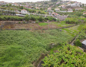 Działka na sprzedaż, Portugalia Ponta Do Sol, 300 299 dolar (1 162 158 zł), 3717 m2, 89670705