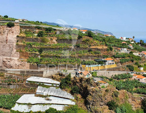 Działka na sprzedaż, Portugalia Ponta Do Sol Ponta do Sol, 34 667 dolar (132 775 zł), 820 m2, 77507886