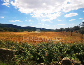 Działka na sprzedaż, Portugalia Portalegre Reguengo e São Julião, 76 234 dolar (305 697 zł), 39 250 m2, 89803769