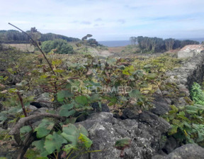 Działka na sprzedaż, Portugalia Praia Da Vitória Biscoitos, 27 084 dolar (103 730 zł), 726 m2, 93235320