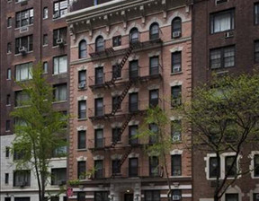 Mieszkanie do wynajęcia, Usa Manhattan, 2750 dolar (10 533 zł), 41,81 m2, 100081478