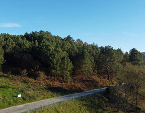 Działka na sprzedaż, Portugalia Casais Do Monte, 30 225 dolar (115 762 zł), 9040 m2, 94390743