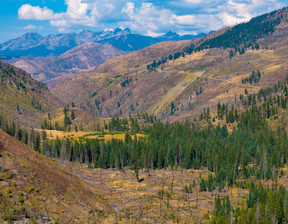 Działka na sprzedaż, Usa Livingston Tract 5 Dutch Road, Park County, MT, 399 000 dolar (1 528 170 zł), 24 281,14 m2, 100642947