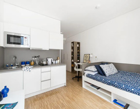 Mieszkanie do wynajęcia, Niemcy Frankfurt Am Main Mainzer Landstraße, 984 dolar (4111 zł), 19 m2, 95745409