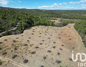 Działka na sprzedaż, Francja Roquefort Des Corbieres, 26 379 dolar (107 889 zł), 20 400 m2, 100467771