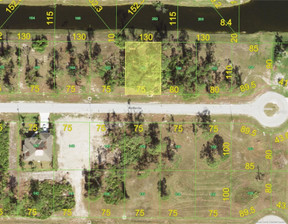 Działka na sprzedaż, Usa Placida 12 CARLINE LANE, 30 000 dolar (114 900 zł), 768,9 m2, 99898995