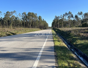 Działka na sprzedaż, Portugalia Cantanhede, 42 432 dolar (170 152 zł), 7200 m2, 91662141