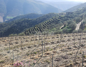 Działka na sprzedaż, Portugalia Alijó, 333 666 dolar (1 291 287 zł), 33 776 m2, 100627238