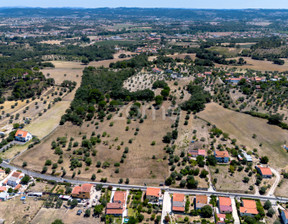 Działka na sprzedaż, Portugalia Tomar, 259 415 dolar (1 040 255 zł), 38 520 m2, 90579798