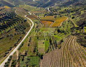 Dom na sprzedaż, Portugalia Carrazeda De Ansiaes, 993 227 dolar (3 813 993 zł), 493 m2, 85342545