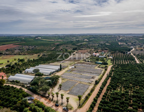 Działka na sprzedaż, Portugalia Silves, 256 944 dolar (986 667 zł), 30 000 m2, 92936864