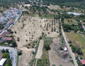 Działka na sprzedaż, Portugalia Santiago Do Cacém SÃO DOMINGOS, 296 893 dolar (1 137 100 zł), 24 665 m2, 72557114