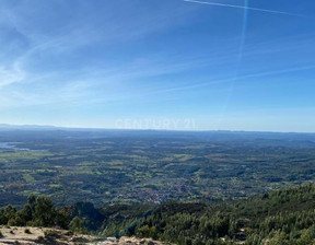 Działka na sprzedaż, Portugalia Louriçal Do Campo, 30 216 dolar (115 727 zł), 44 625 m2, 96126717