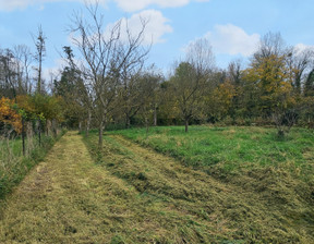 Działka na sprzedaż, Francja Vadenay, 38 642 dolar (158 046 zł), 997 m2, 102276949